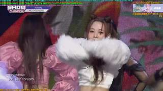 Apink十五周年1月5日回归顺利