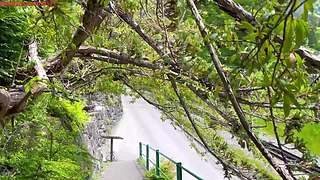 4837387小沫带您走进治愈系的风景里