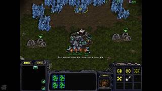 鱼缸里的沙子的直播间