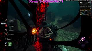 一起养鱼吗？萌新，勿喷，易破防