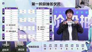 Gemini：挑杯抽签仪式