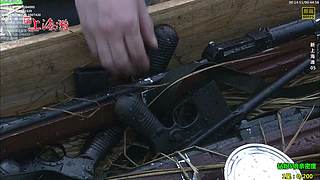 【贝贝】热门钻粉5倍亲密度~改版下牌子呗