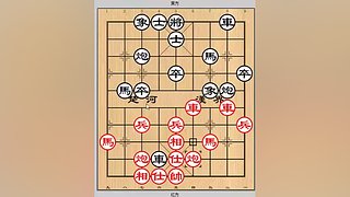 乐博象棋课堂