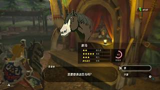 新人+新手，娱乐升级