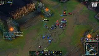 只玩猎人各种好玩的猎人卡组