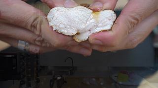 老RAY请你吃超大型烤串！