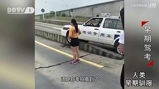 魏蜀吴群雄争霸，发弹幕加入国战