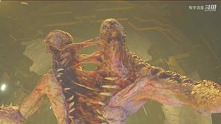 一个奔波正白金路上的手残玩家！