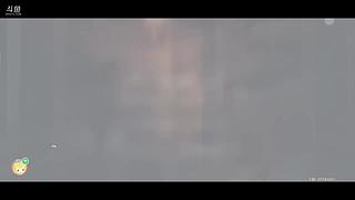 4w原石花干花净