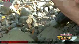 荒野求生，带大家体验不一样的生活