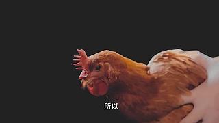 【所长来了】打开宇宙的未知