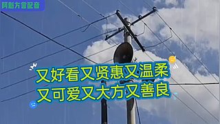 阿魁方言配音的直播间