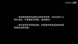 东南亚丛林生活实录