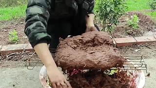 生蚝还可以这样吃