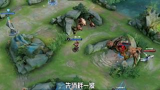 王者茶哥的直播间