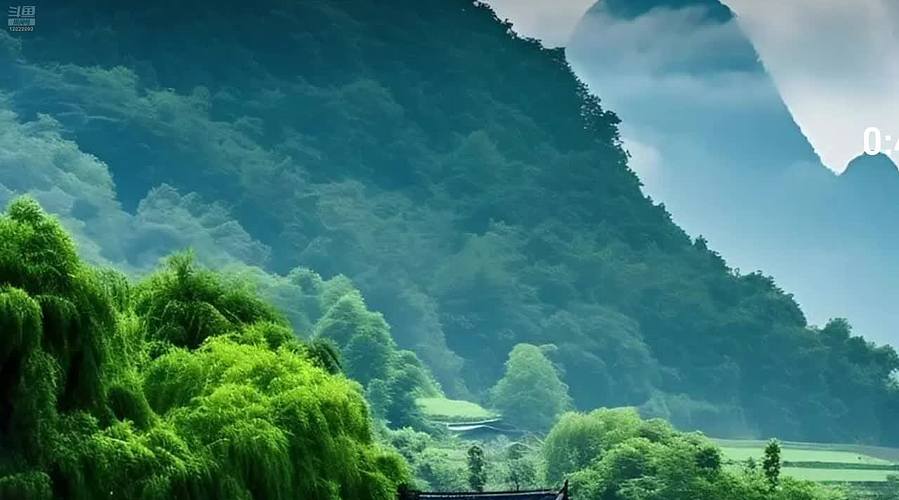 输给你看嘿嘿
