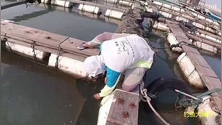 感谢钓友关注，每天分享鱼乐