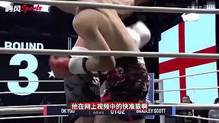 【持续更新】中外经典功夫格斗大战-解说