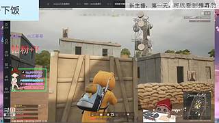 新人，第一天！