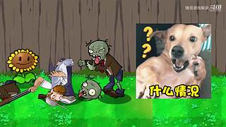 猪哥游戏解说的直播间