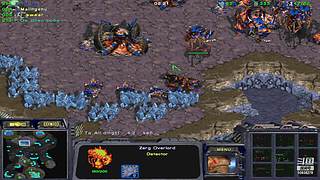 小小疯直播的直播间