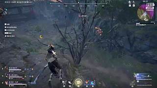 随意播，在于娱乐。