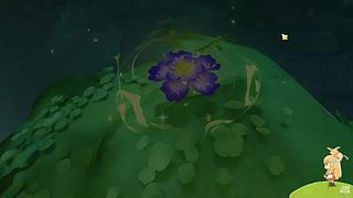 在须弥寻找纳西妲~✧(≖ ◡ ≖✿)