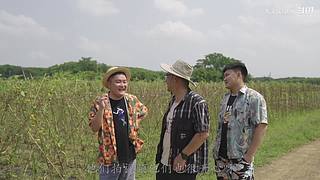 你的海南军阀给你带来最地道的赶海