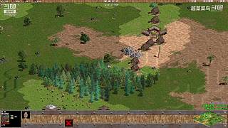 超菜菜鸟的直播间