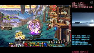 回归打造/增幅碰瓷