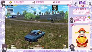 你也玩和平精英吗ovo