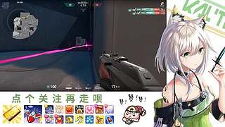 在下林凡，请指教！