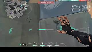 小白求关注 11713801