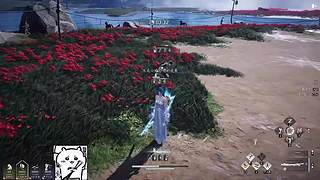 用户6079706811的直播间