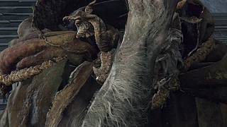 先法环待会CS冲S 12185435