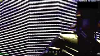 【神乐】祝愿大家前路繁花似锦~所愿皆能得