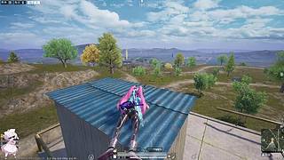 新版本来啦 12829217