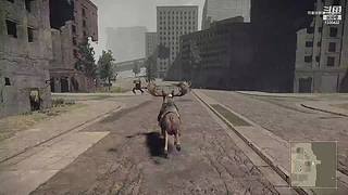 各类单机随机播