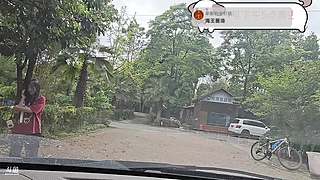 在成都养伤只做第三视角