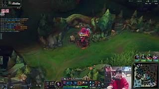 蜘蛛馍：打野教学每晚12点直播 不见不散