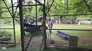 正在都江堰基地