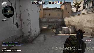 23岁还没有觉醒替身使者CSGO