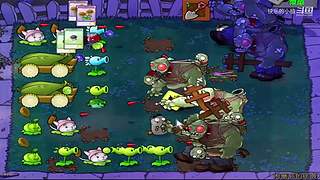 宝子们，开席了！