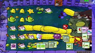 宝子们，开席了！