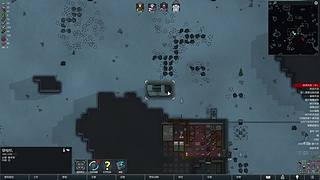 【韭菜的轮播间】