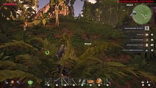 【风启之旅】海盗模拟器？