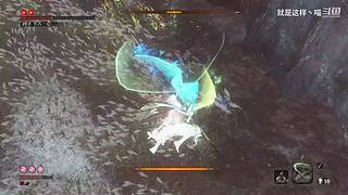 萌新菜菜，大佬带带