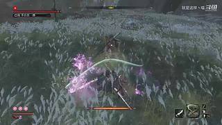 萌新菜菜，大佬带带