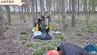 威海骑行西藏318.317