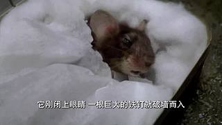 花姐的直播间 4058285